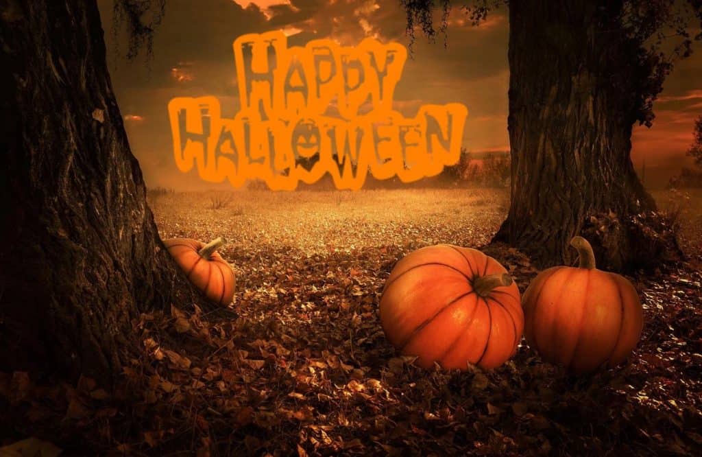 HAPPY HALLOWEEN