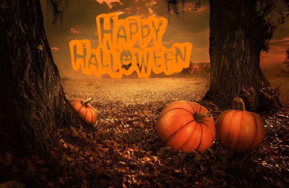 HAPPY HALLOWEEN